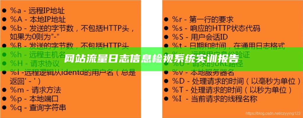 网站流量日志信息检视系统实训报告