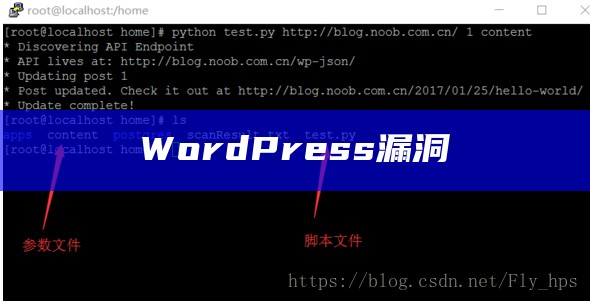 WordPress漏洞