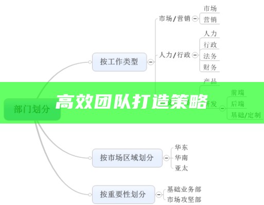 高效团队打造策略