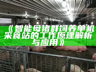 智能母猪群饲养单机采食站的工作原理解析与运用