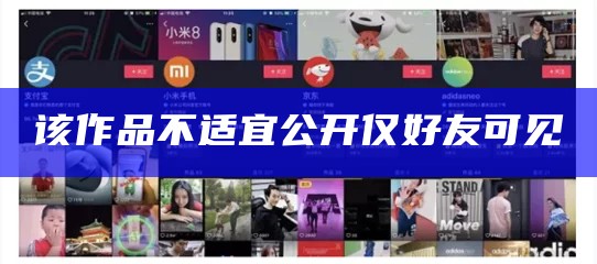 该作品不适宜公开仅好友可见