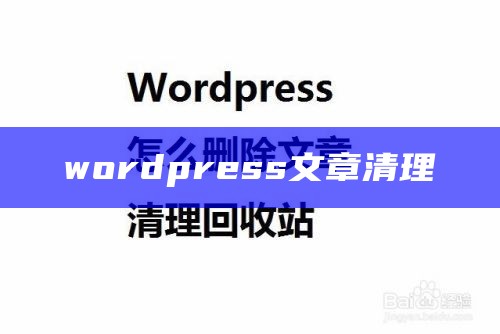 wordpress文章清理