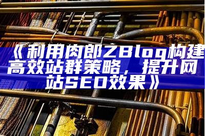 如何通过肉郎Zblog建立高效站群，提高网站SEO排名技巧