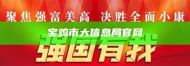 宝鸡市大信息局官网