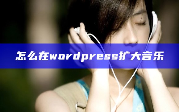 怎么在wordpress扩大音乐