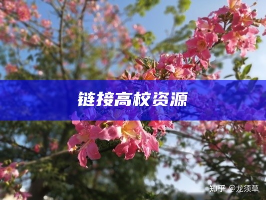 链接高校资源