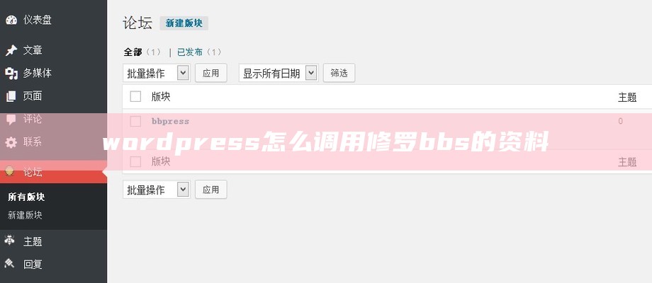 wordpress怎么调用修罗bbs的资料