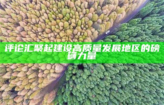 评论汇聚起建设高质量发展地区的磅礴力量