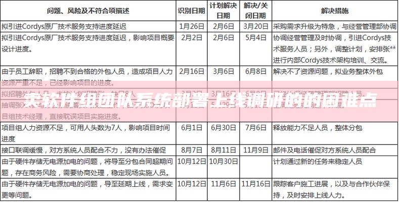 卖软件组团队系统部署上线调研的的困难点