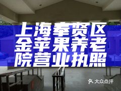 上海奉贤区金苹果养老院营业执照