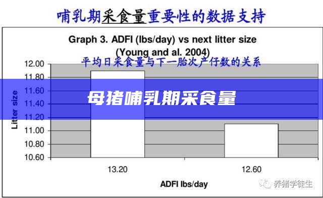 母猪哺乳期采食量