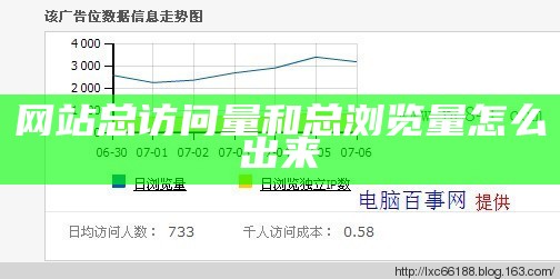 网站总访问量和总浏览量怎么出来