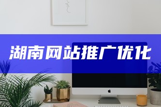 湖南网站推广优化