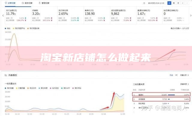 淘宝新店铺怎么做起来