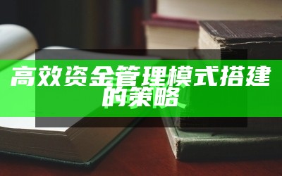 高效资金管理模式搭建 的策略