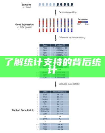 了解统计支持的背后的背后统计