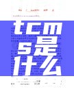 地铁tcms是什么意思