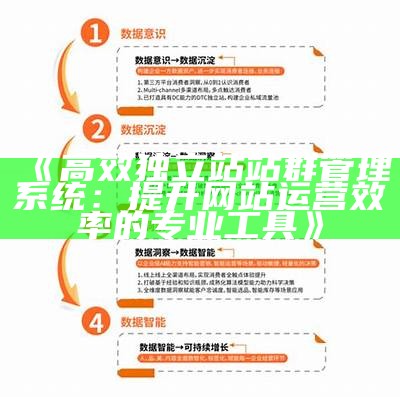 高效独立站站群管理系统：提升网站运营效率的专业工具