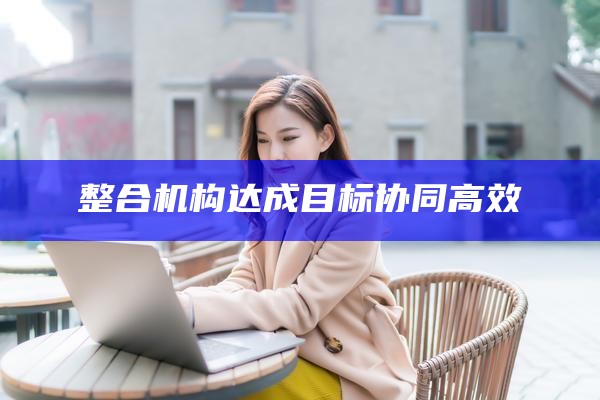 整合机构 达成目标协同高效