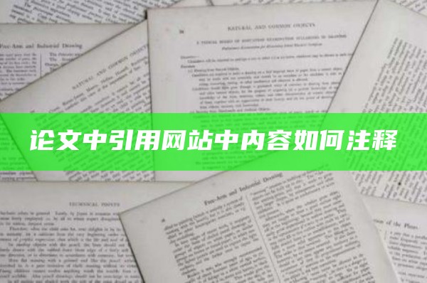 论文中引用网站中内容如何注释