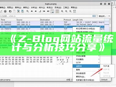 Z-Blog 网站流量统计与调查技巧分享