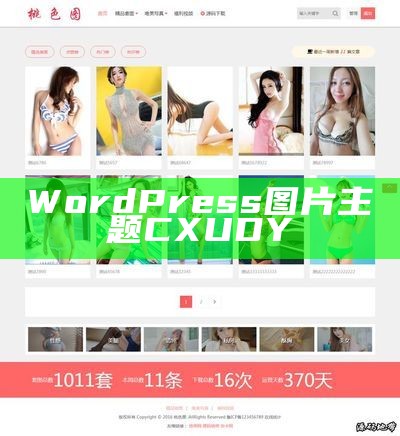 WordPress图片主题CXUDY