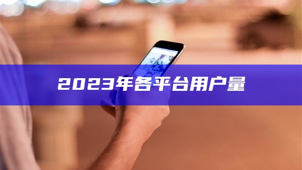 2023年各平台用户量