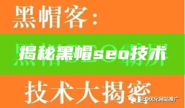 揭秘黑帽seo技术