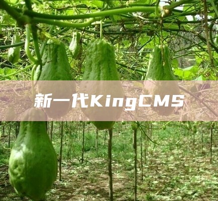 新一代KingCMS