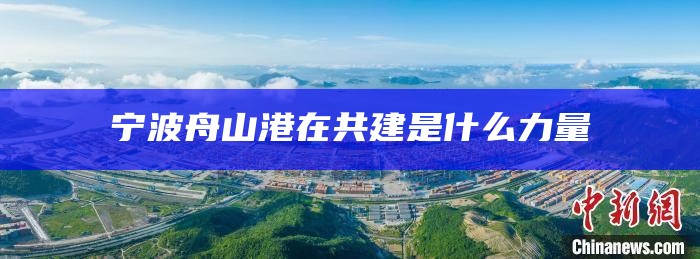 宁波舟山港在共建是什么力量