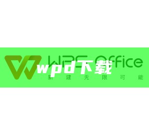 wpd下载