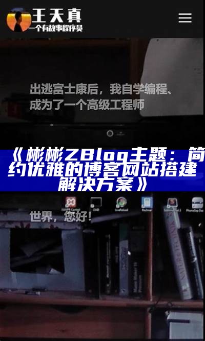 完美适配的 Zblog 淘宝客主题：轻松搭建你的网赚平台