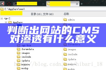 判断出网站的CMS对渗透有什么意义