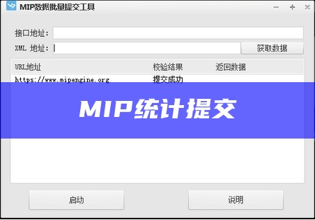 MIP统计提交