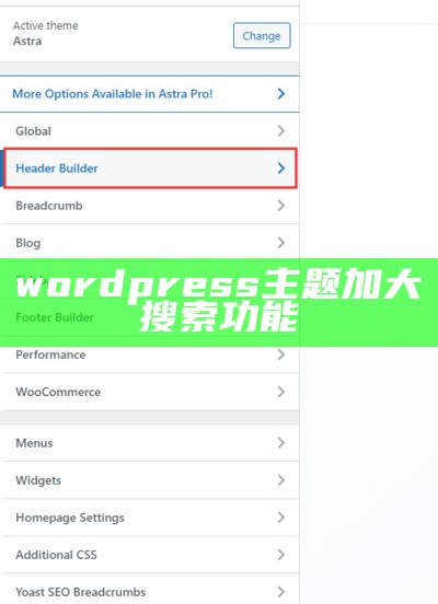 wordpress主题加大搜索功能