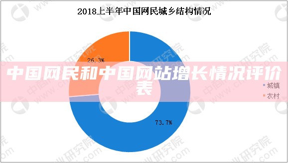 中国网民和中国网站增长情况评价表