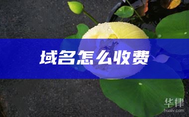 域名怎么收费