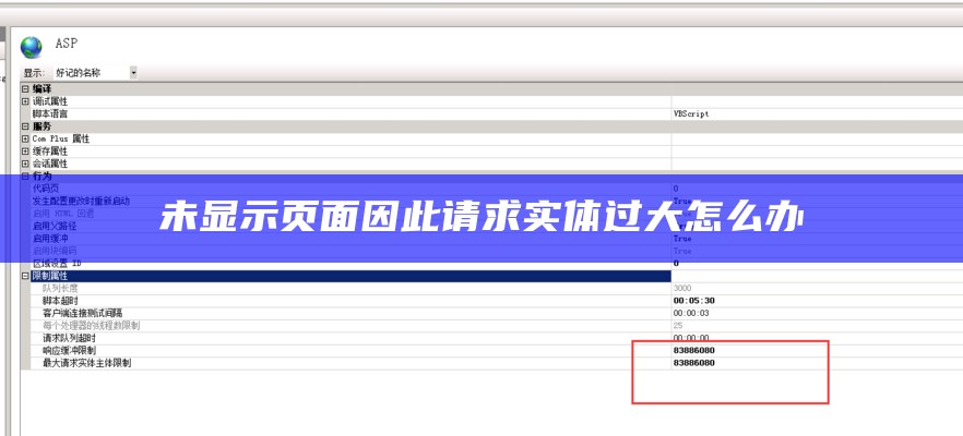 未显示页面由此可见请求实体过大怎么办