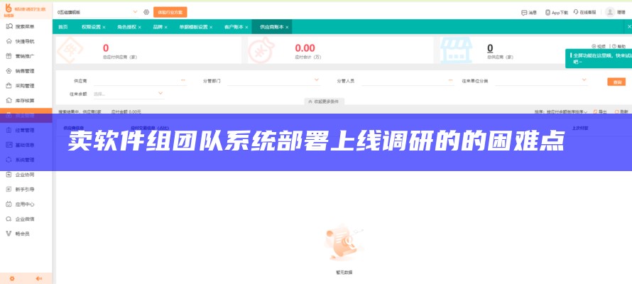 卖软件组团队系统部署上线调研的的困难点