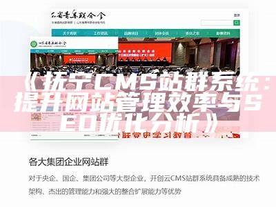 抚宁CMS站群系统：提升网站管理效率与SEO优化检视