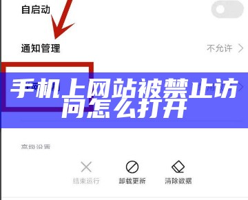 手机上网站被禁止访问怎么打开
