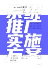 系统推广实施方案