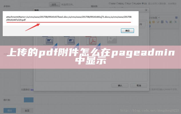 上传的pdf附件怎么在pageadmin中显示