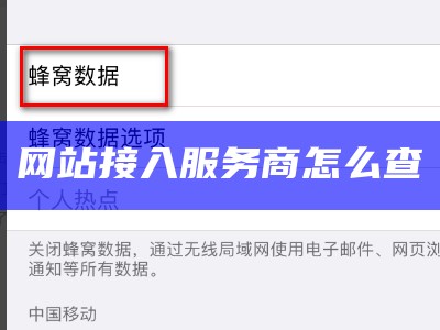 网站接入服务商怎么查