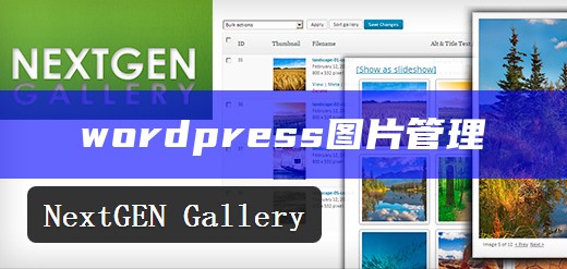 wordpress图片管理