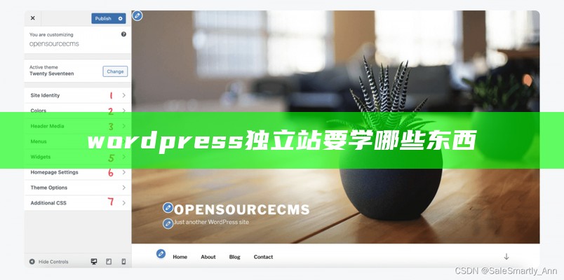 wordpress独立站要学哪些东西