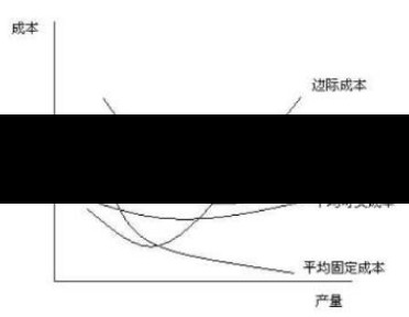 编辑成本