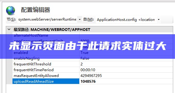 未显示页面由于此请求实体过大