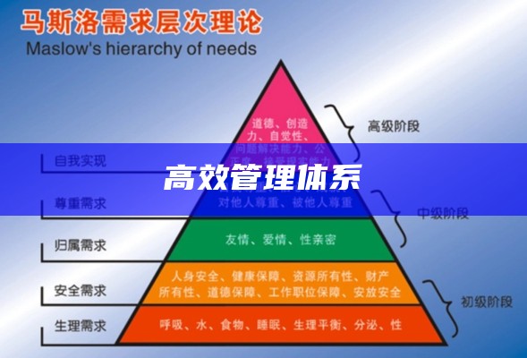 高效管理体系