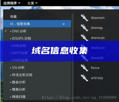 域名信息收集
